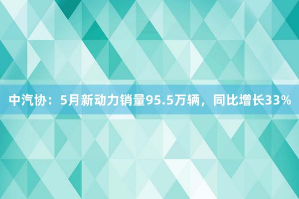 中汽协：5月新动力销量95.5万辆，同比增长33%