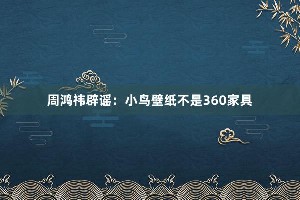 周鸿祎辟谣：小鸟壁纸不是360家具