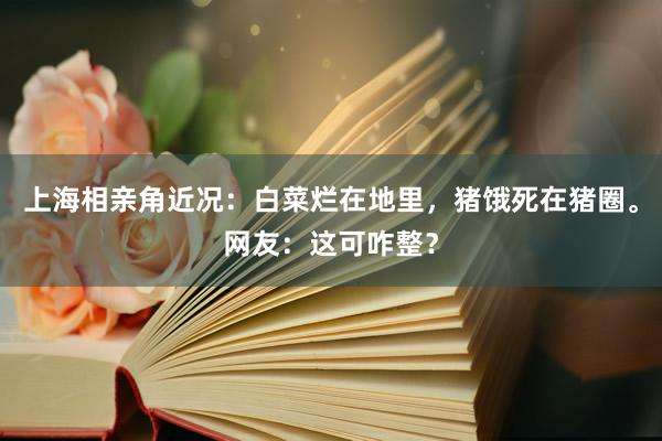 上海相亲角近况：白菜烂在地里，猪饿死在猪圈。网友：这可咋整？