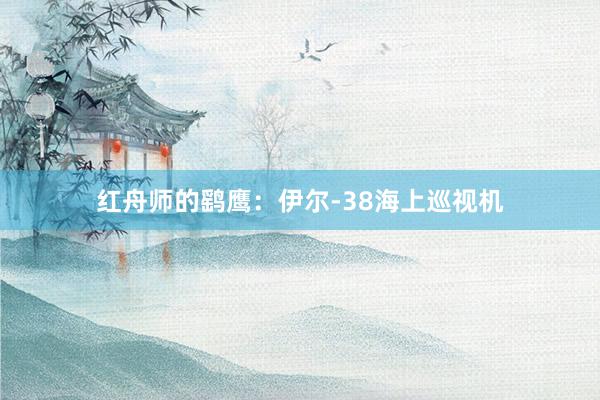 红舟师的鹞鹰：伊尔-38海上巡视机