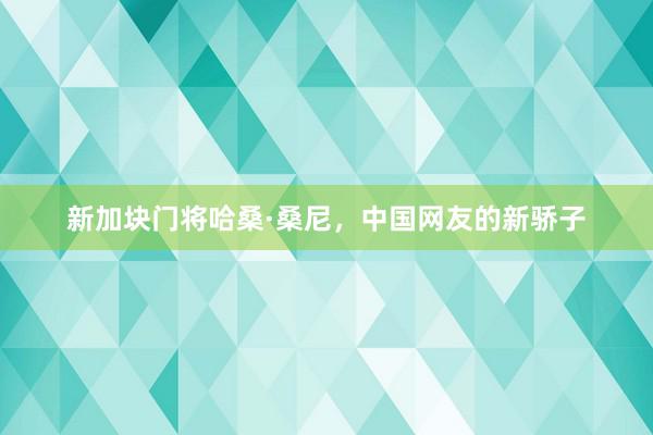 新加块门将哈桑·桑尼，中国网友的新骄子