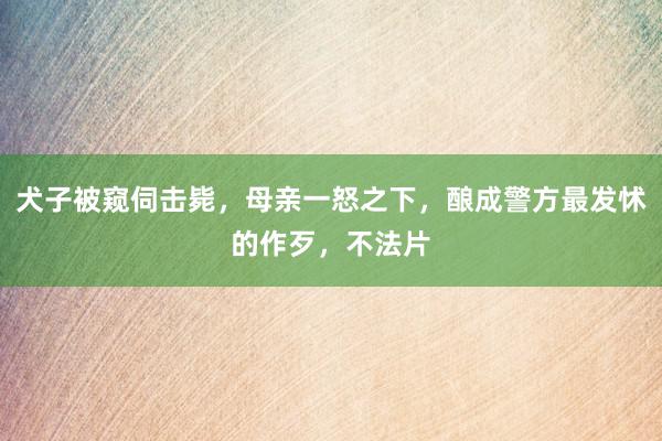 犬子被窥伺击毙，母亲一怒之下，酿成警方最发怵的作歹，不法片