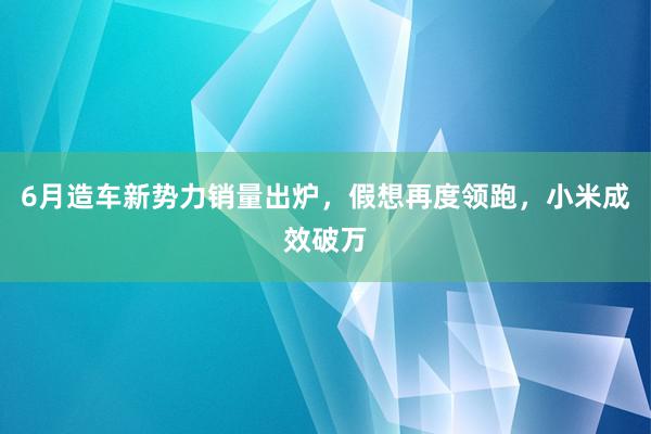 6月造车新势力销量出炉，假想再度领跑，小米成效破万