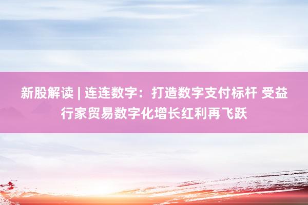 新股解读 | 连连数字：打造数字支付标杆 受益行家贸易数字化增长红利再飞跃