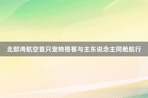 北部湾航空首只宠物搭客与主东说念主同舱航行