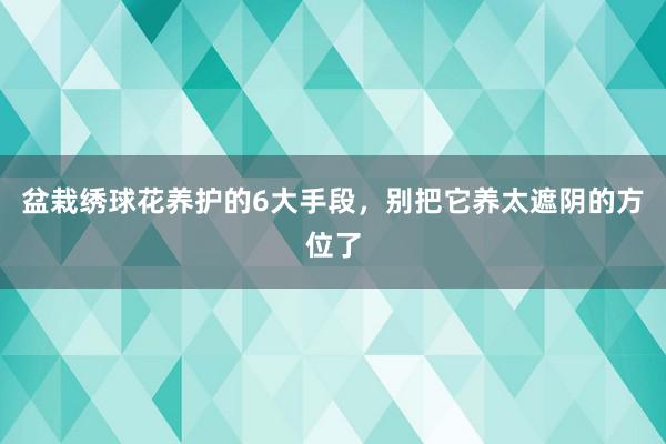 盆栽绣球花养护的6大手段，别把它养太遮阴的方位了