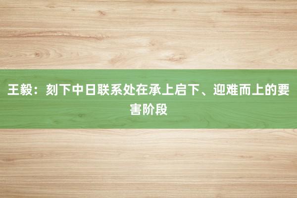 王毅：刻下中日联系处在承上启下、迎难而上的要害阶段