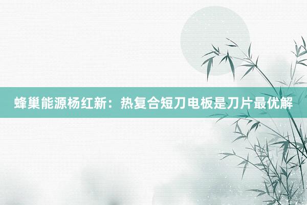 蜂巢能源杨红新：热复合短刀电板是刀片最优解