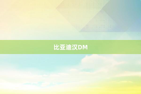 比亚迪汉DM