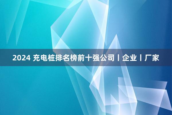 2024 充电桩排名榜前十强公司丨企业丨厂家