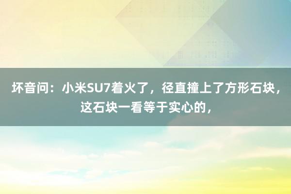 坏音问：小米SU7着火了，径直撞上了方形石块，这石块一看等于实心的，