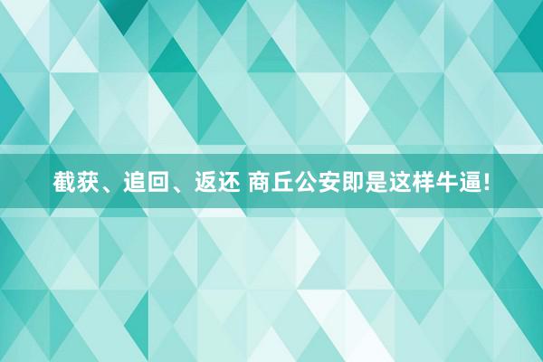 截获、追回、返还 商丘公安即是这样牛逼!