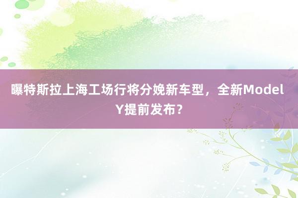 曝特斯拉上海工场行将分娩新车型，全新Model Y提前发布？